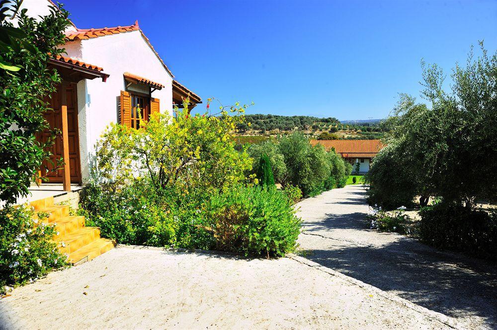 Lefkothea Villas With Large Pool, Bbq & Playground Adelianos Kampos Exterior foto
